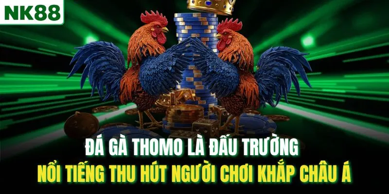 Đá gà Thomo là đấu trường nổi tiếng thu hút người chơi khắp châu Á